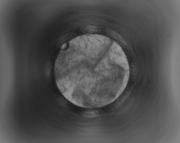 X0000100490760200807111122