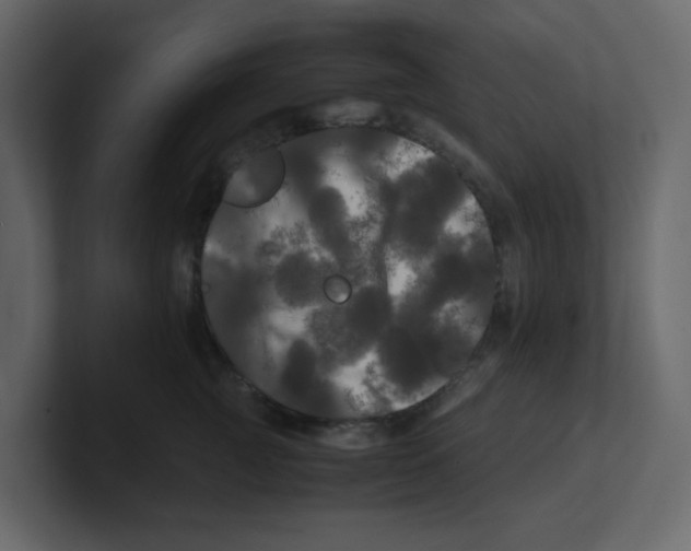 X0000100490761200807111122