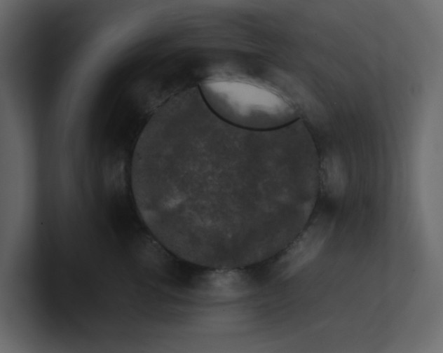X0000100490762200807111122