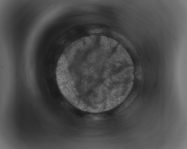 X0000100490763200807111122