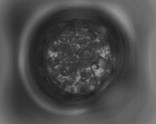 X0000100490765200807111122
