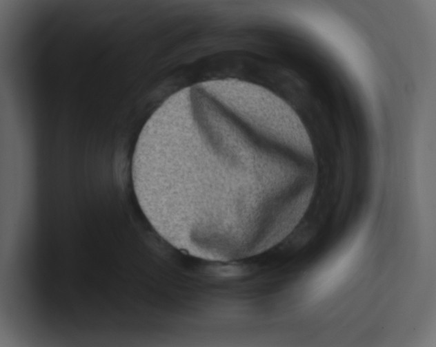 X0000100490767200807111122