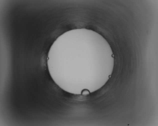 X0000100490768200807111122