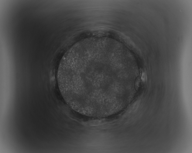 X0000100490771200807111122