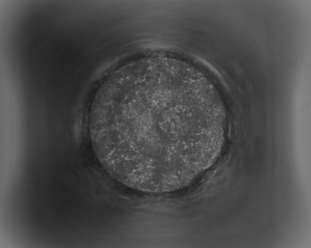 X0000100490775200807111122