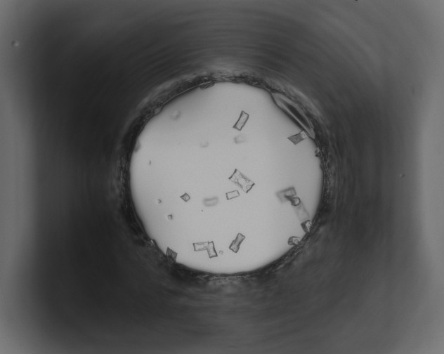 X0000100490776200807111122