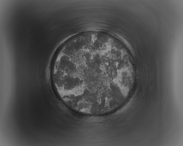 X0000100490779200807111122