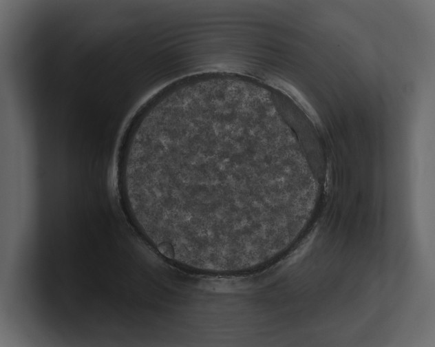 X0000100490780200807111122