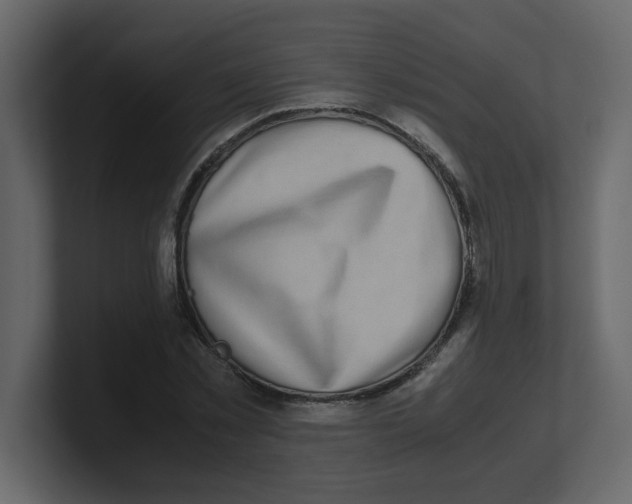 X0000100490781200807111122