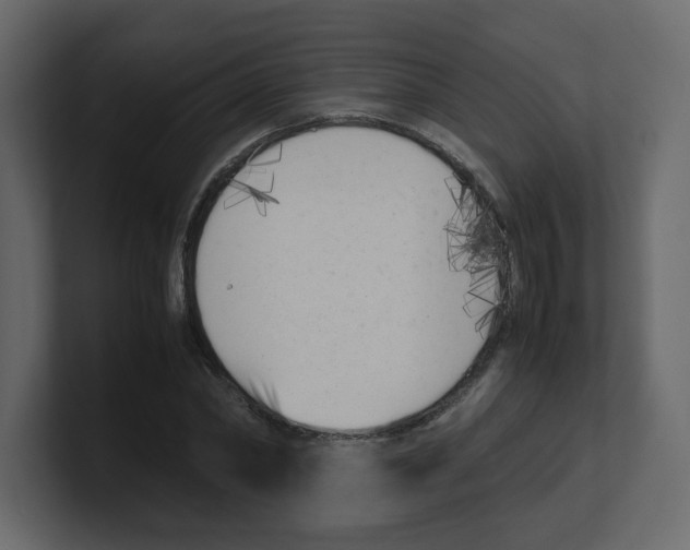 X0000100490782200807111122