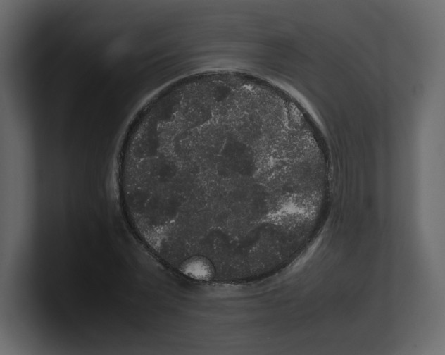 X0000100490783200807111122