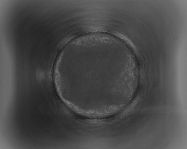 X0000100490785200807111122