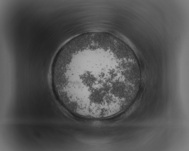 X0000100490787200807111121