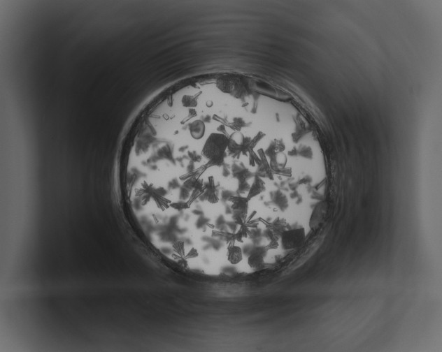X0000100490788200807111121