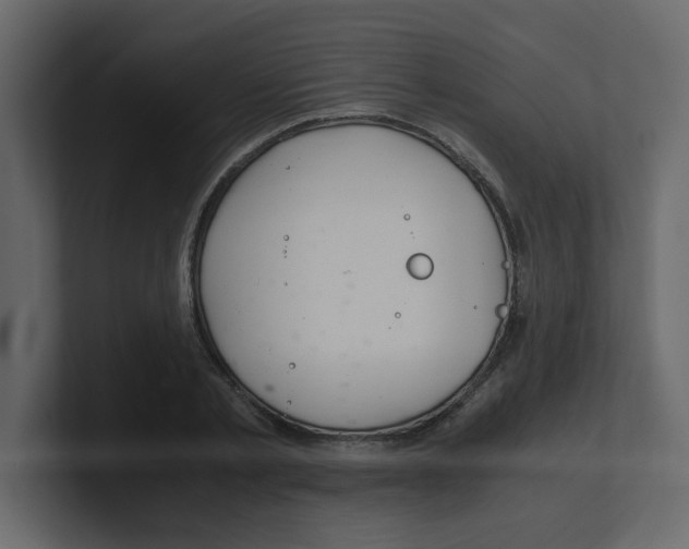 X0000100490789200807111121