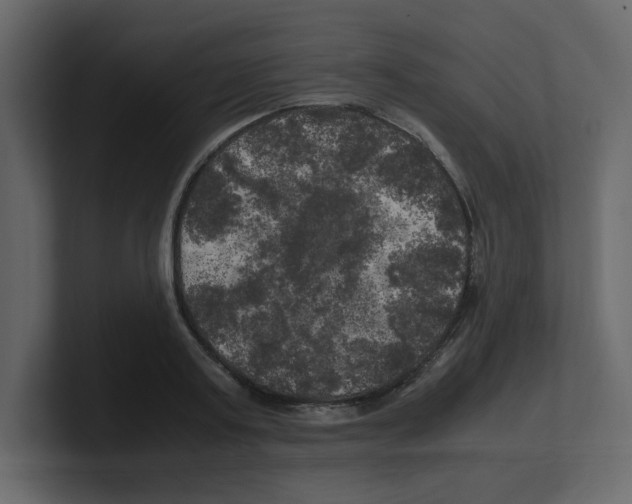 X0000100490795200807111121