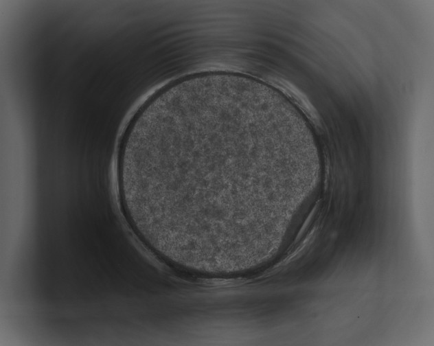 X0000100490796200807111121