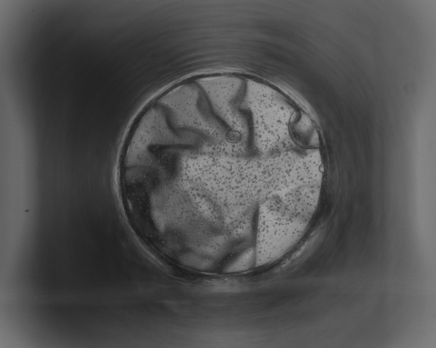 X0000100490797200807111121