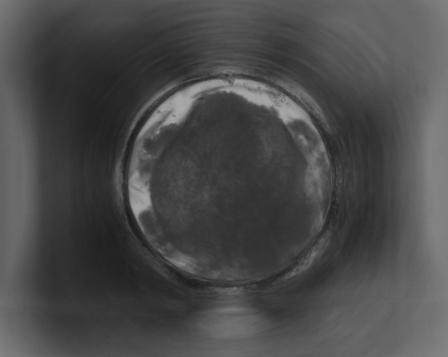 X0000100490798200807111121