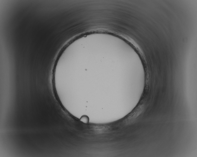 X0000100490799200807111121