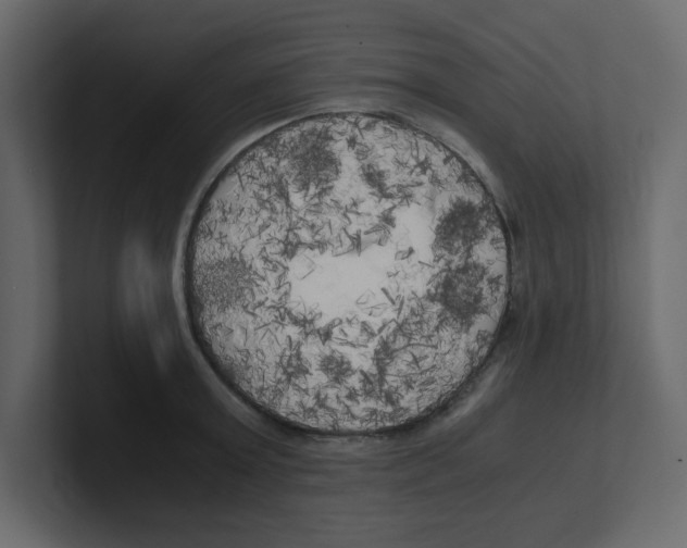 X0000100490803200807111121