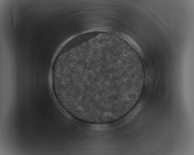 X0000100490804200807111121