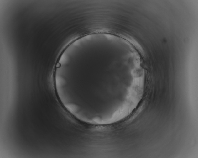 X0000100490806200807111121