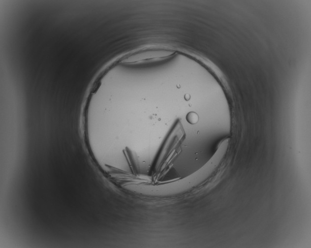 X0000100490807200807111121