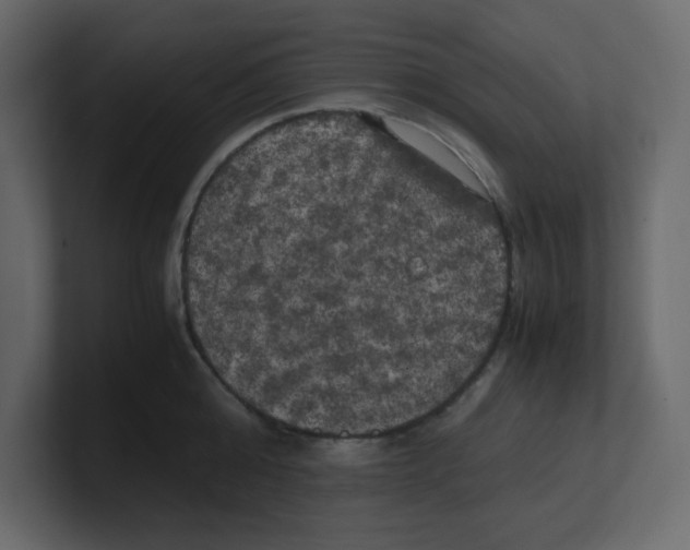X0000100490808200807111121