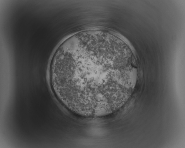 X0000100490811200807111121