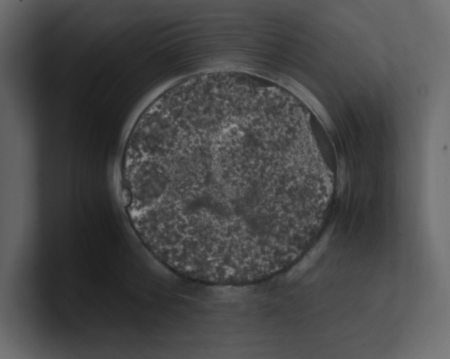 X0000100490812200807111121