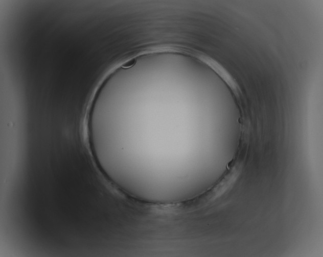 X0000100490813200807111121