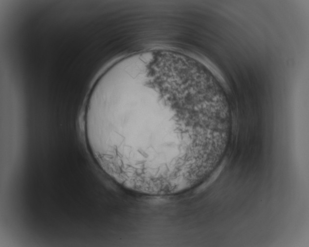 X0000100490814200807111121