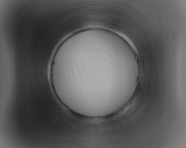 X0000100490815200807111121