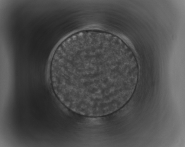 X0000100490816200807111121