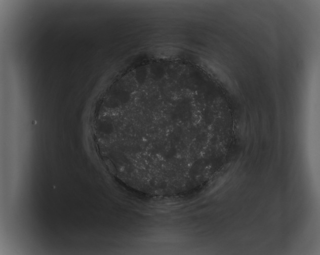 X0000100490817200807111120