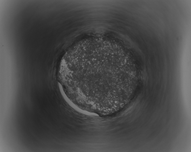 X0000100490818200807111120
