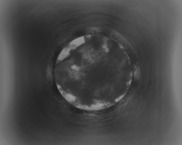 X0000100490819200807111120