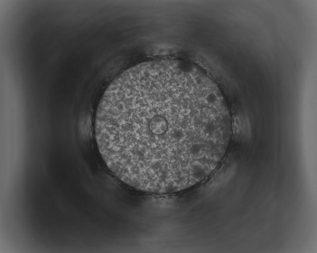 X0000100490820200807111120