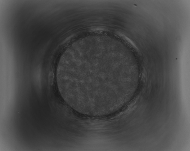 X0000100490821200807111120
