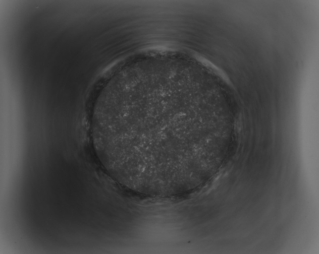 X0000100490822200807111120