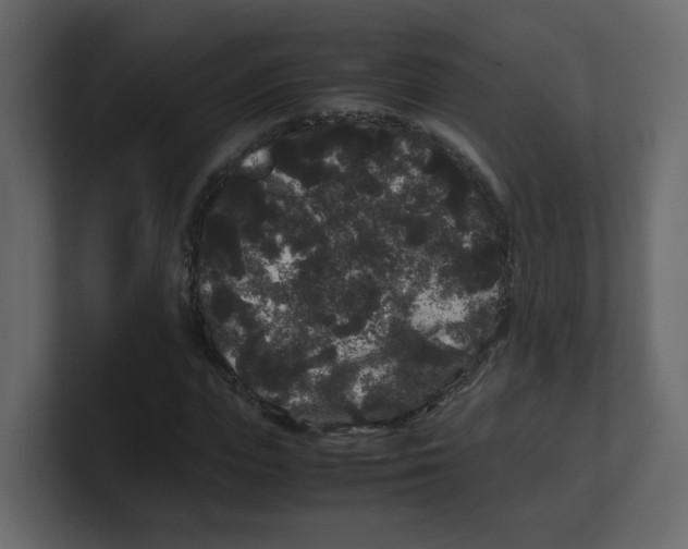 X0000100490823200807111121