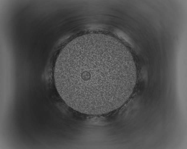 X0000100490824200807111121