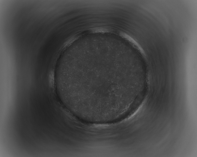 X0000100490825200807111121