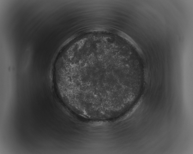 X0000100490826200807111121