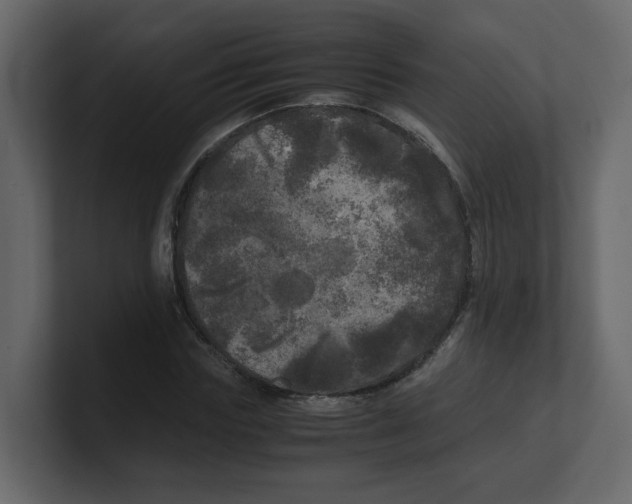 X0000100490827200807111121