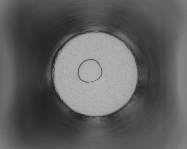 X0000100490828200807111121