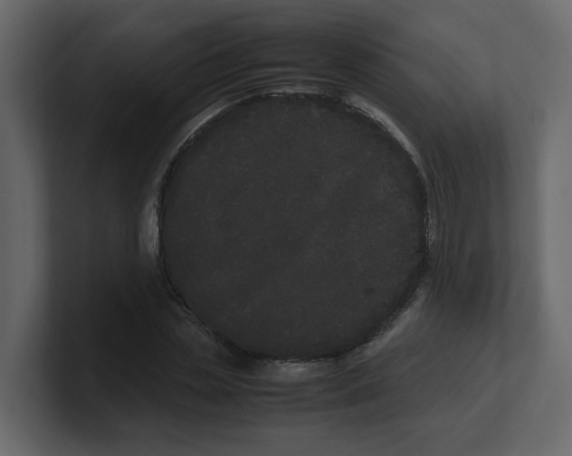 X0000100490829200807111121