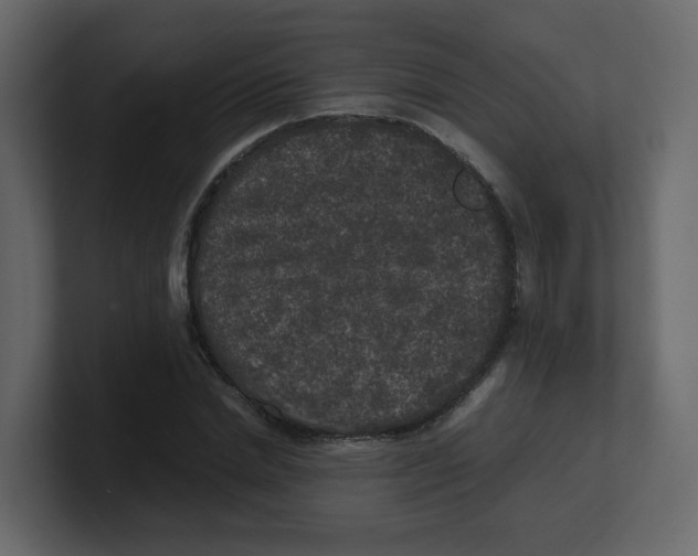 X0000100490830200807111121
