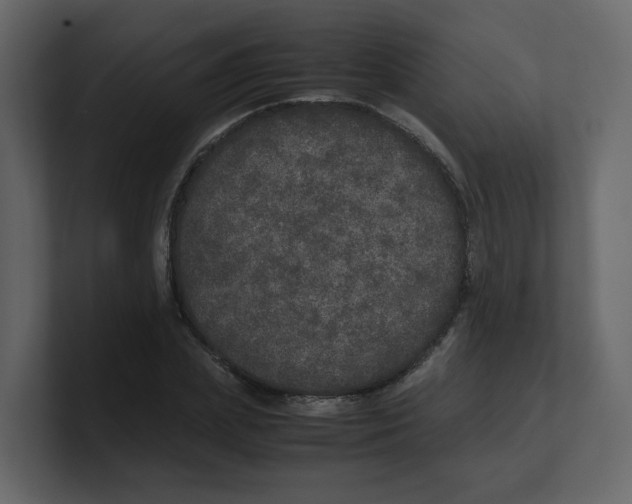 X0000100490831200807111121